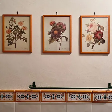 La Casetta Nel Cortile *